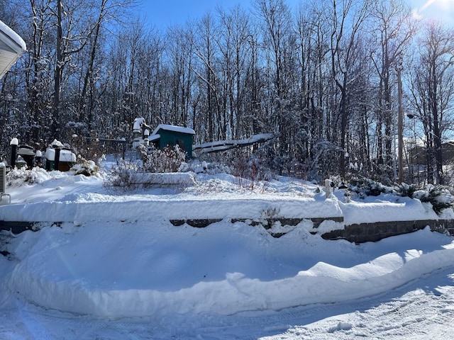 view of snowy yard