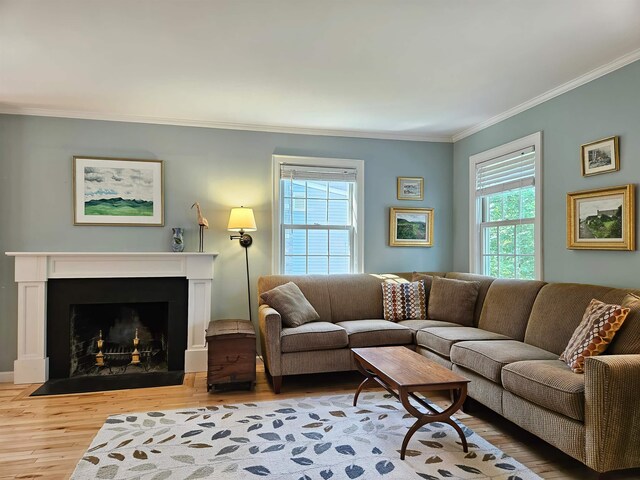 316 S Willard St, Burlington, VT 05401 - bird's eye view with a water view