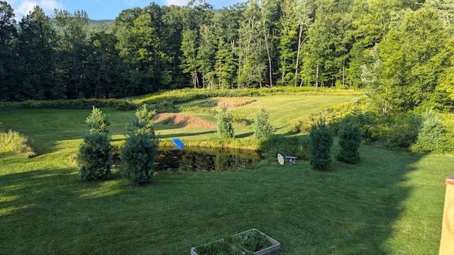 view of yard featuring a wooded view