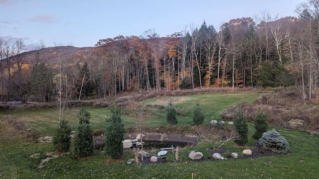 view of mountain feature with a forest view