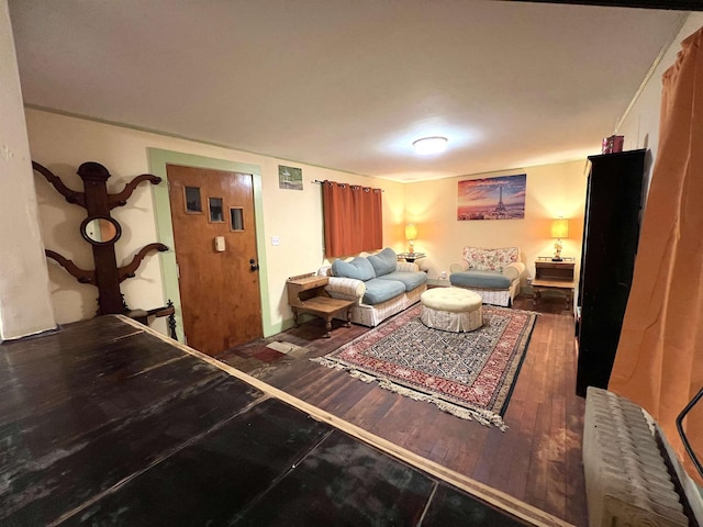 living room featuring dark wood-type flooring