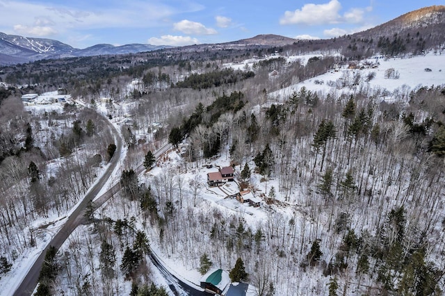 property view of mountains