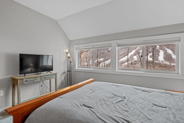 bedroom with carpet flooring and vaulted ceiling