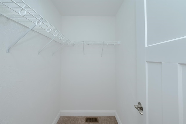 walk in closet with carpet