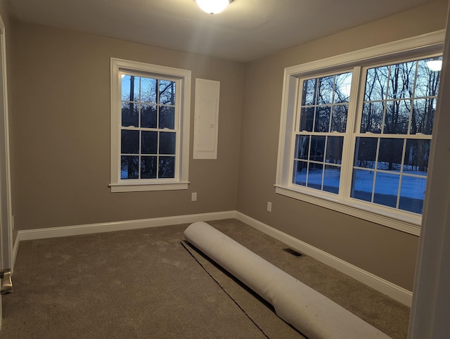 unfurnished bedroom featuring electric panel and carpet