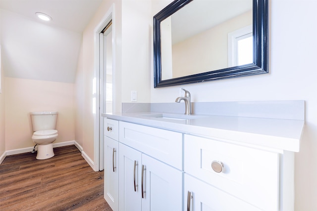 bathroom with vanity, wood-type flooring, and toilet