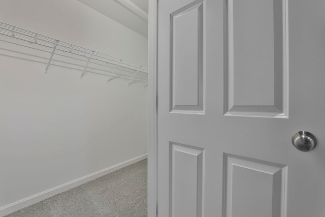 spacious closet featuring carpet