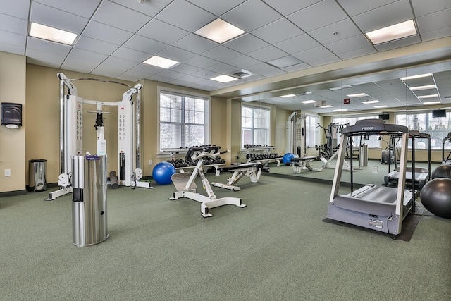 exercise room featuring a drop ceiling and carpet