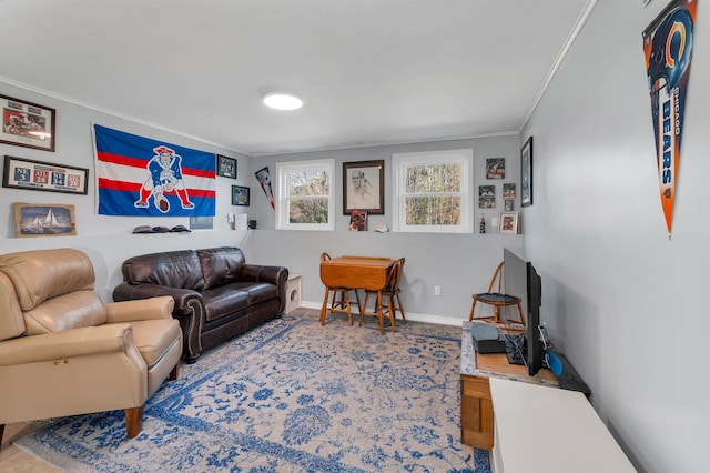 living room featuring crown molding