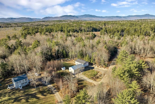 birds eye view of property featuring a mountain view