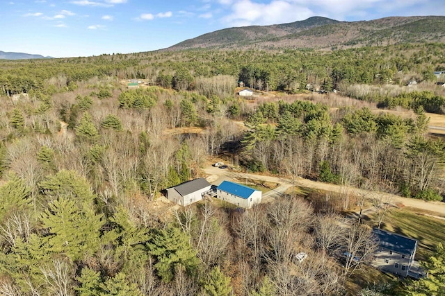 drone / aerial view with a mountain view