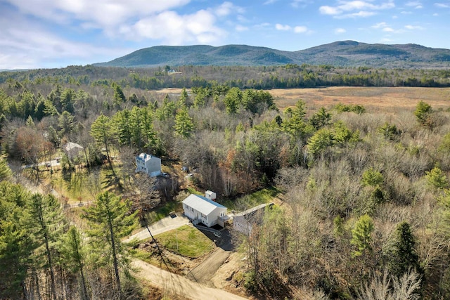 birds eye view of property featuring a mountain view