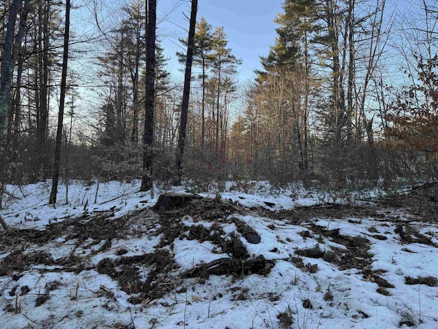 Listing photo 3 for 0 Green Mountain Rd, Effingham NH 03882