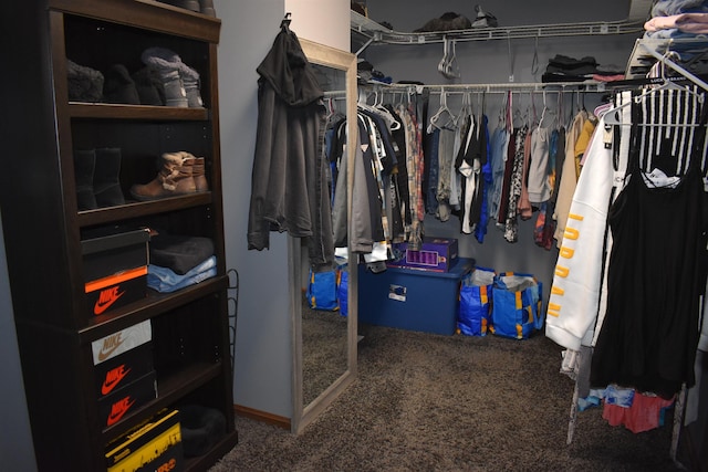 walk in closet with carpet