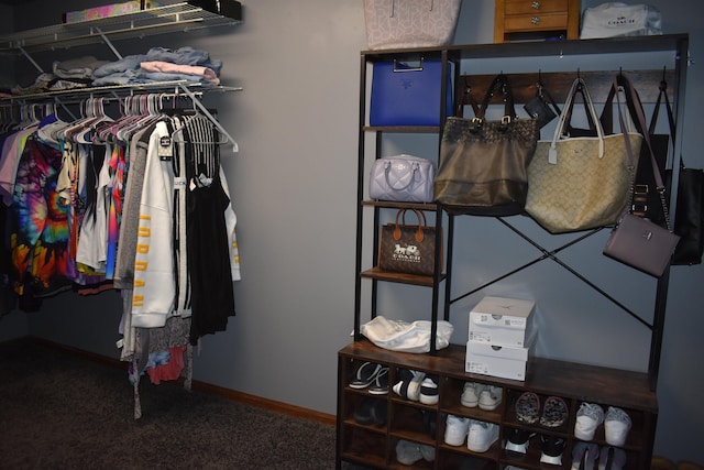 spacious closet featuring carpet