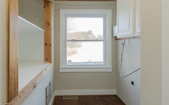 clothes washing area featuring cabinets, dark hardwood / wood-style floors, and a wealth of natural light