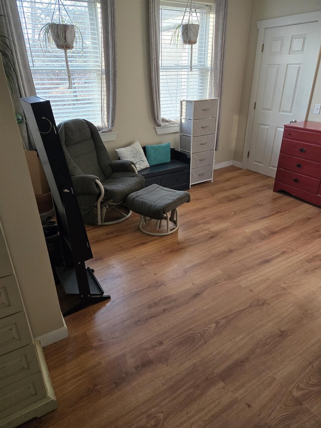 living area with wood-type flooring and a healthy amount of sunlight