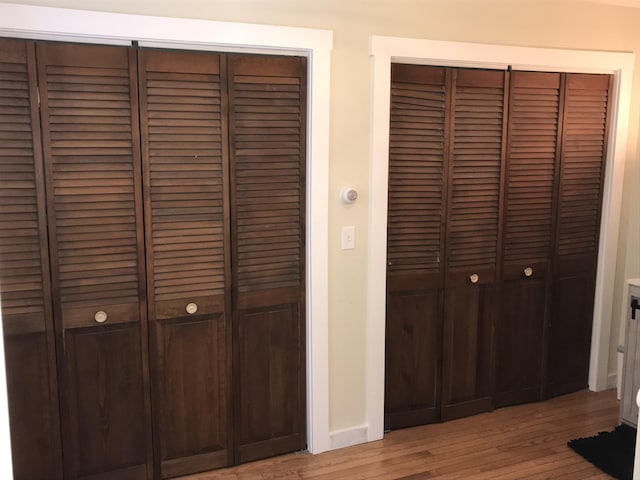 interior space with two closets and light hardwood / wood-style floors