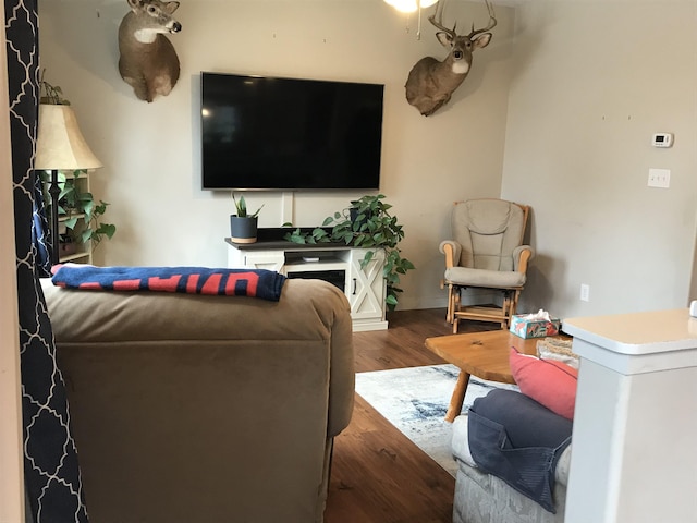 living room with dark hardwood / wood-style flooring