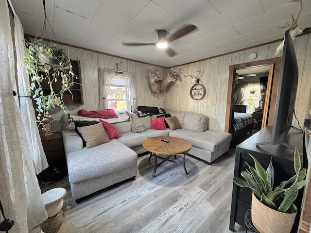 living room with hardwood / wood-style flooring, ceiling fan, wood walls, and plenty of natural light