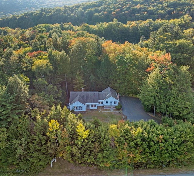 bird's eye view