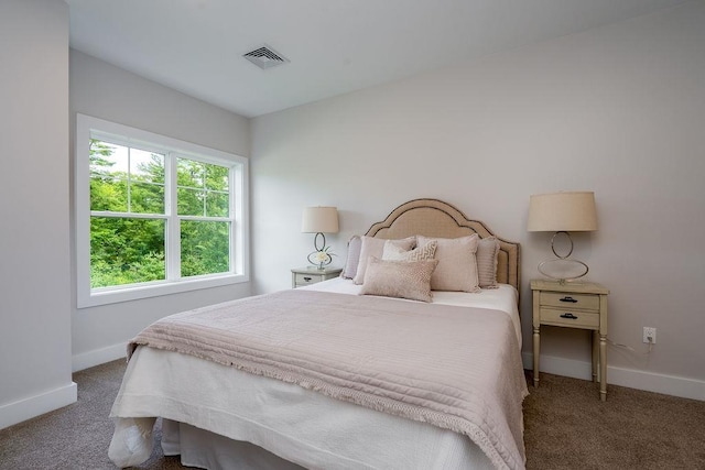 carpeted bedroom with multiple windows