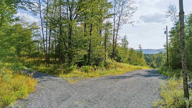 0 Wildlife Rd, Hartford VT, 05001 land for sale