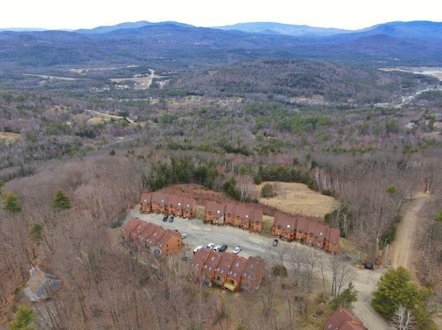 drone / aerial view featuring a mountain view