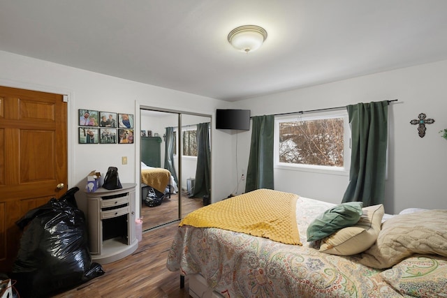 bedroom featuring a closet and hardwood / wood-style floors