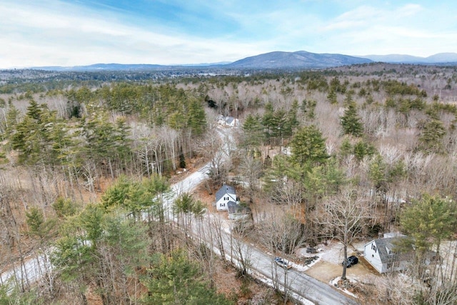 drone / aerial view with a mountain view