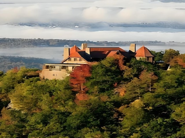 aerial view featuring a water view