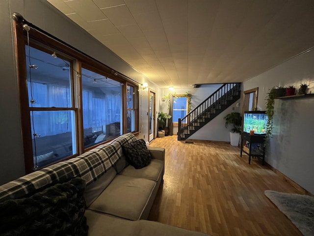 living room featuring wood-type flooring