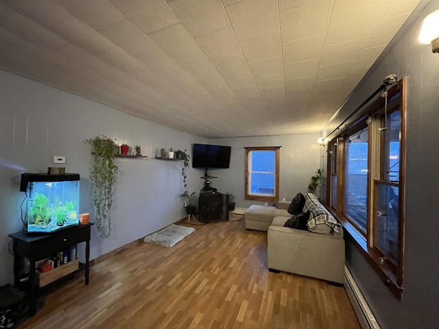 living room featuring wood-type flooring