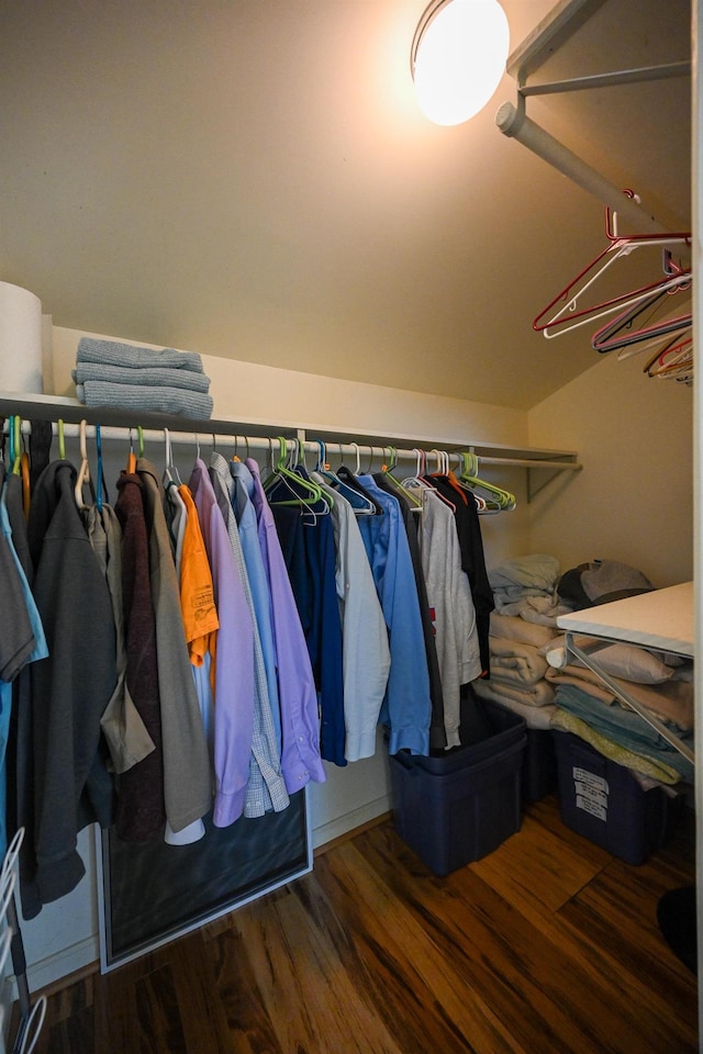 spacious closet featuring dark hardwood / wood-style flooring