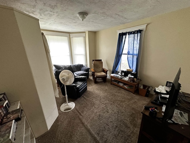 sitting room featuring carpet flooring and a textured ceiling