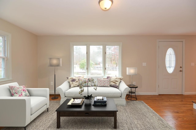 living room with light hardwood / wood-style floors