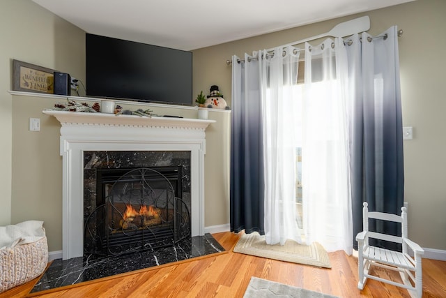 living room featuring wood-type flooring and a premium fireplace