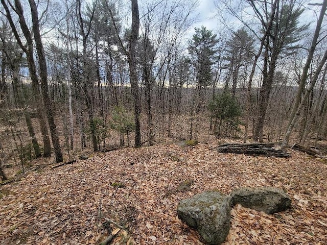 42 Beech Ln, Gilsum NH, 03448 land for sale