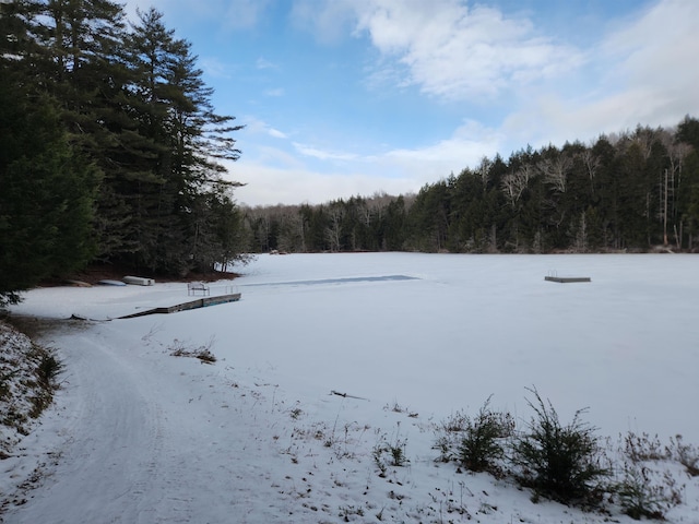 Listing photo 3 for 42 Beech Ln, Gilsum NH 03448