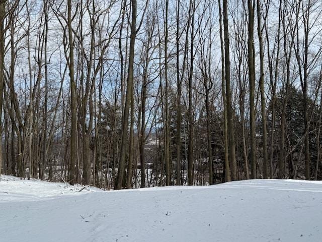 view of snow covered land