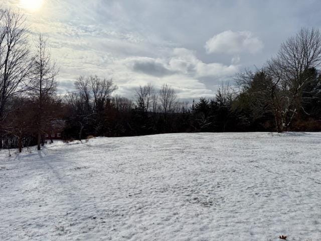 view of yard layered in snow