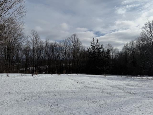 view of yard layered in snow