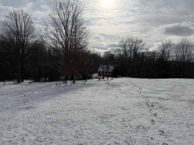 view of yard layered in snow