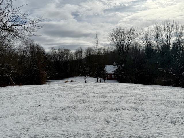 view of yard layered in snow