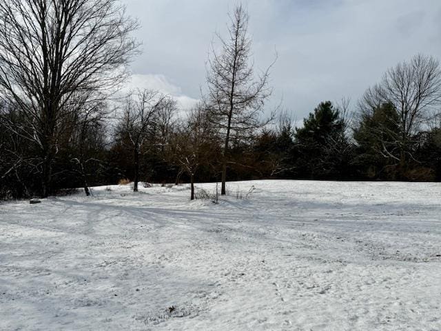 view of snowy yard