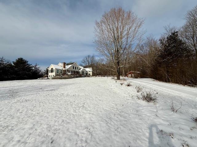 view of yard covered in snow