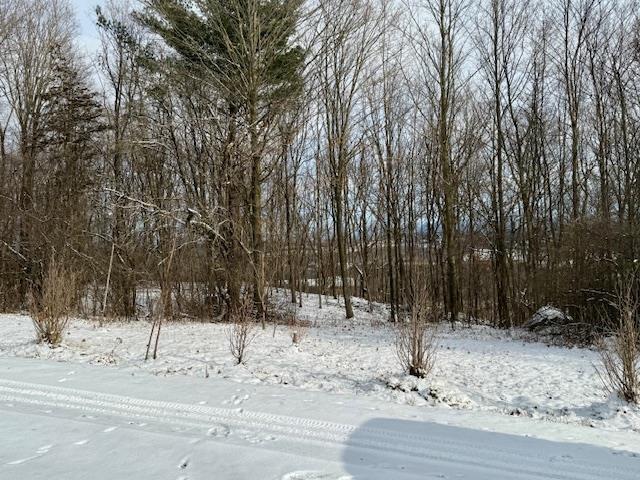 view of snow covered land