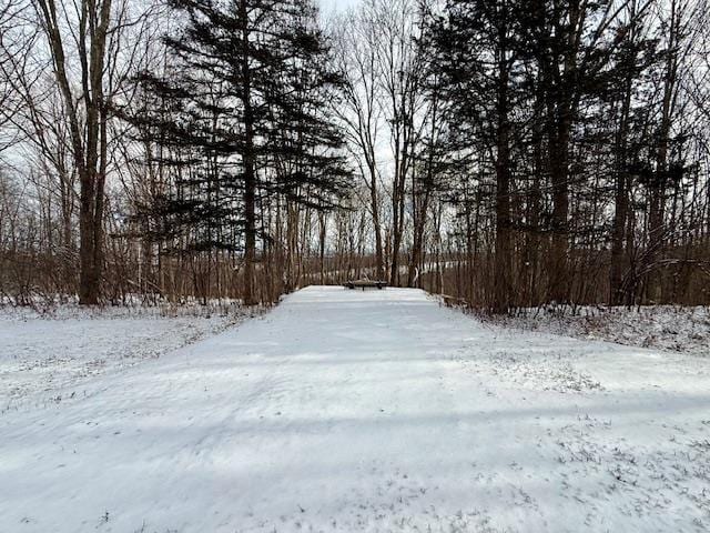 view of yard layered in snow