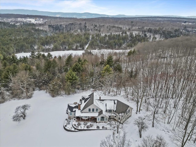 snowy aerial view featuring a mountain view