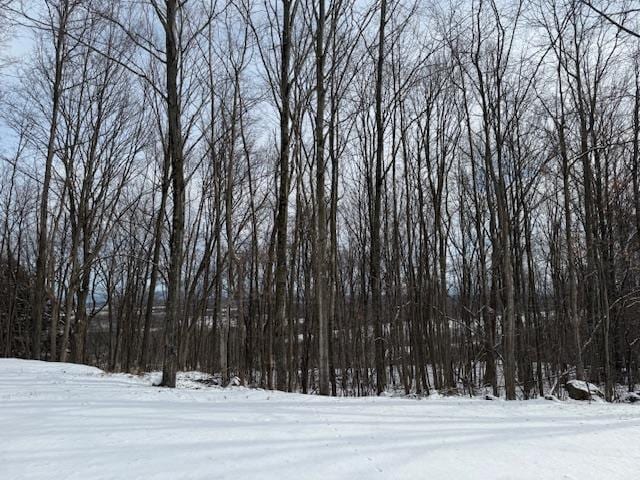 view of snowy landscape